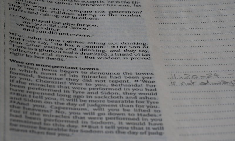 sbir proposal reviewer